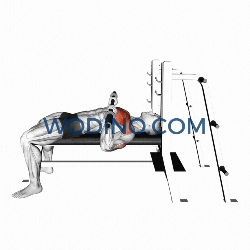 wodino-barbell-bench-press