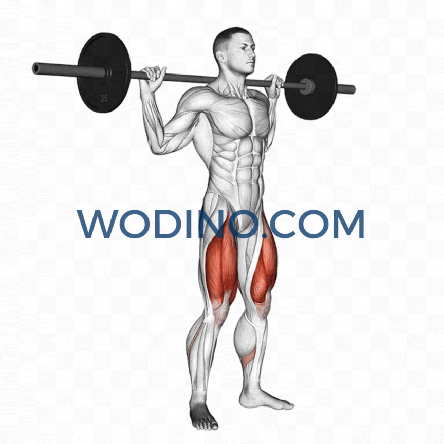wodino-barbell-full-squat
