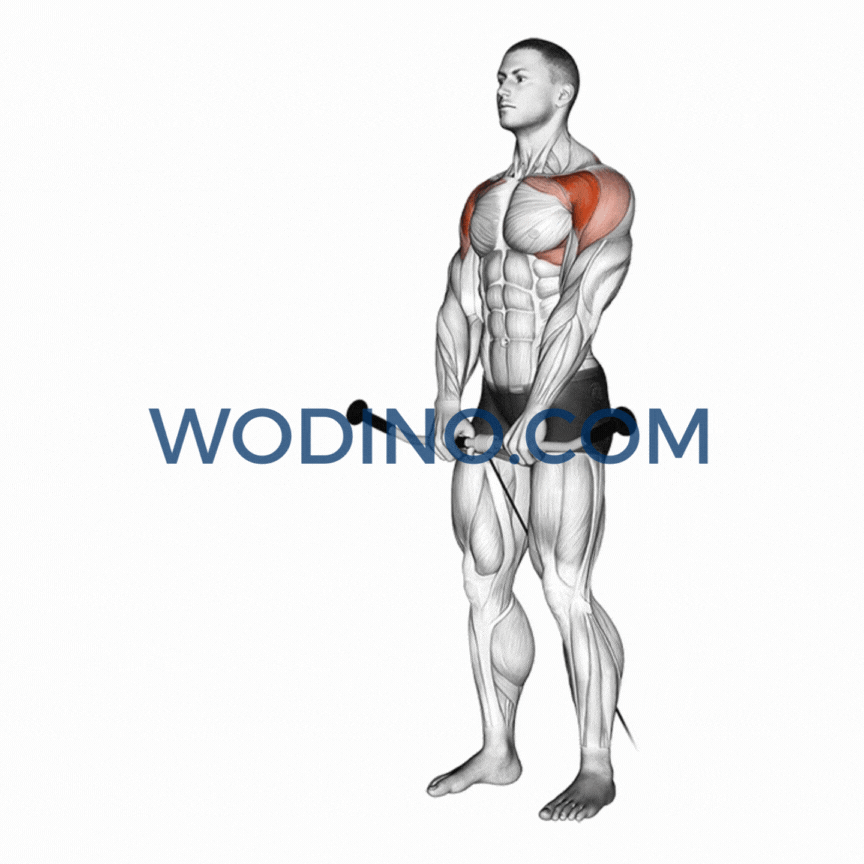 wodino-cable-front-raise