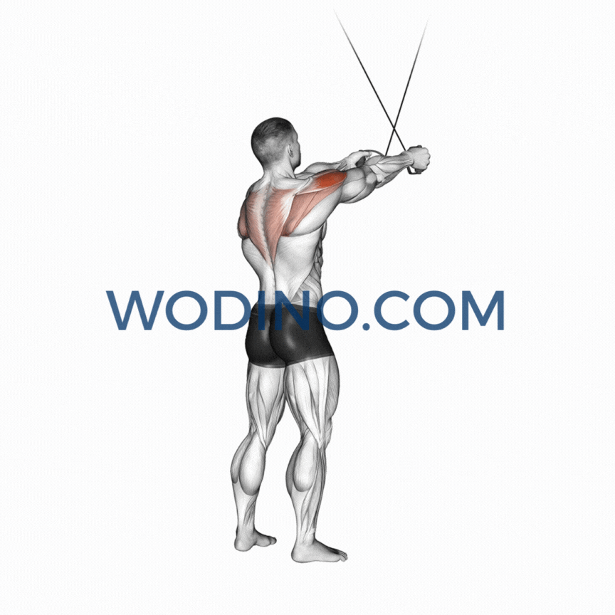 wodino-cable-rear-delt-fly