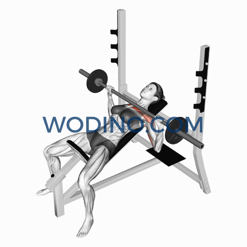 wodino-incline-barbell-bench-press