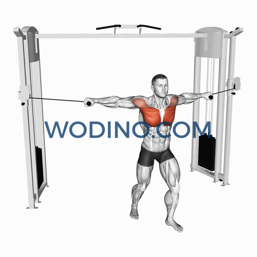 wodino-pronated-grip-cable-fly