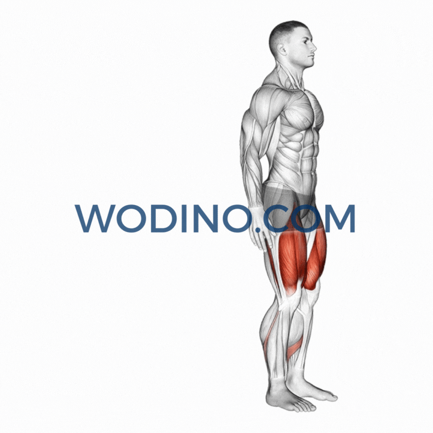 wodino-reverse-lunge